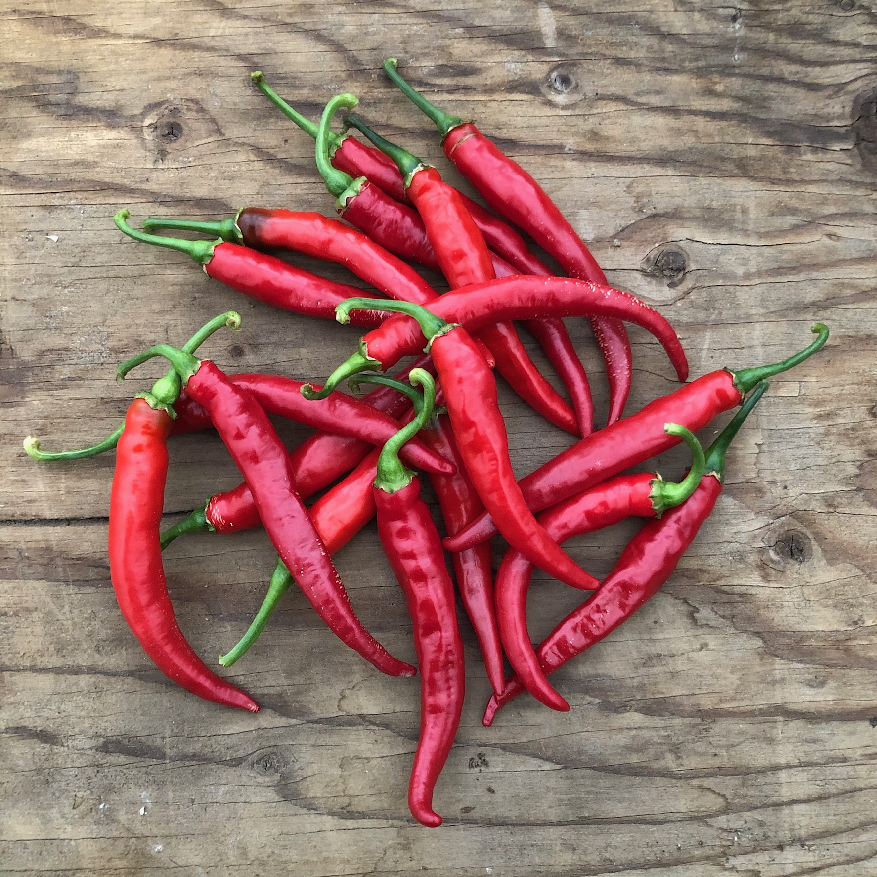 (X2) Ring of Fire Cayenne Pepper Organic
